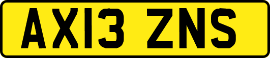 AX13ZNS