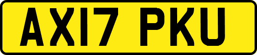 AX17PKU