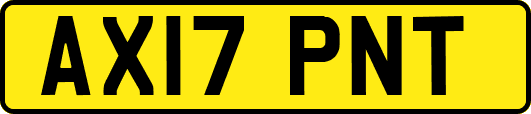 AX17PNT