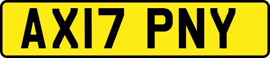 AX17PNY