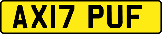 AX17PUF