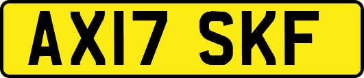 AX17SKF