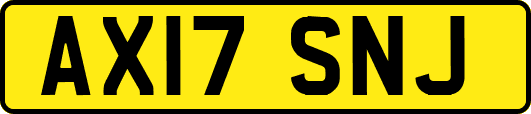 AX17SNJ