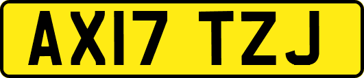 AX17TZJ