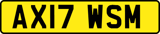 AX17WSM