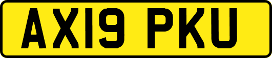 AX19PKU