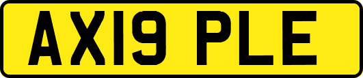 AX19PLE