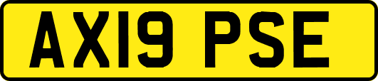 AX19PSE