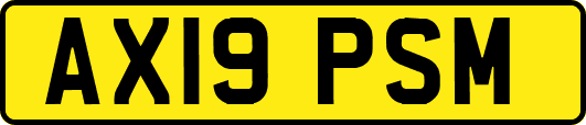 AX19PSM