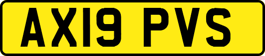 AX19PVS