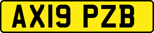 AX19PZB