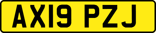 AX19PZJ