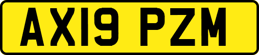 AX19PZM