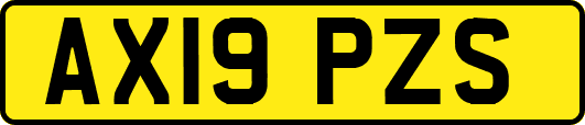 AX19PZS