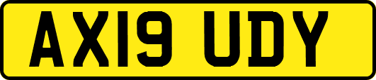 AX19UDY