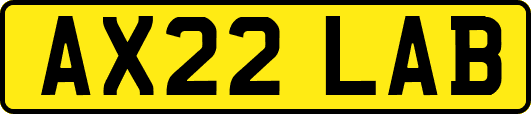 AX22LAB