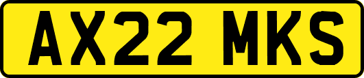 AX22MKS