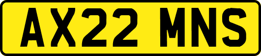 AX22MNS