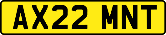 AX22MNT