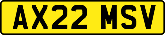 AX22MSV
