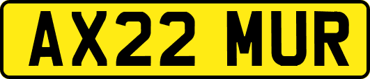 AX22MUR