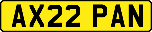 AX22PAN