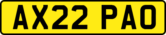 AX22PAO