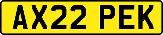AX22PEK