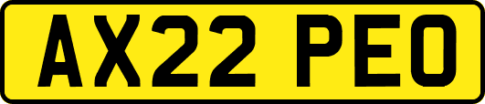 AX22PEO