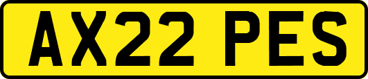 AX22PES