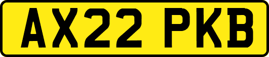 AX22PKB