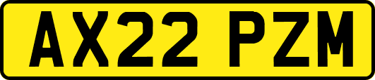 AX22PZM