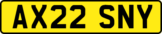 AX22SNY