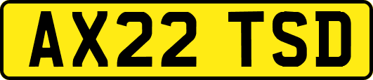 AX22TSD