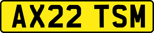 AX22TSM