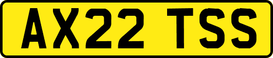 AX22TSS