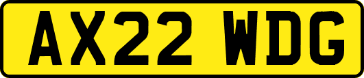 AX22WDG