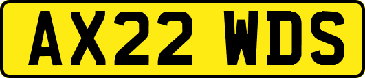 AX22WDS