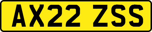 AX22ZSS