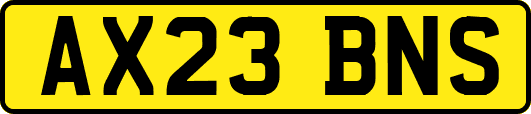 AX23BNS