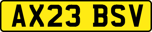 AX23BSV