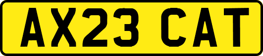 AX23CAT