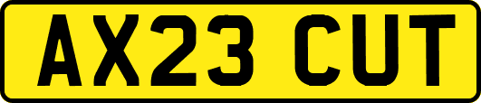 AX23CUT