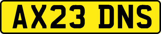 AX23DNS