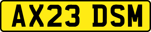 AX23DSM
