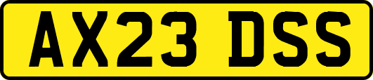 AX23DSS