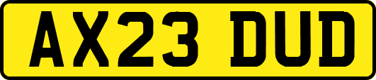 AX23DUD