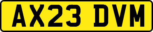 AX23DVM