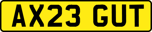 AX23GUT