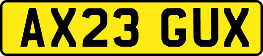 AX23GUX